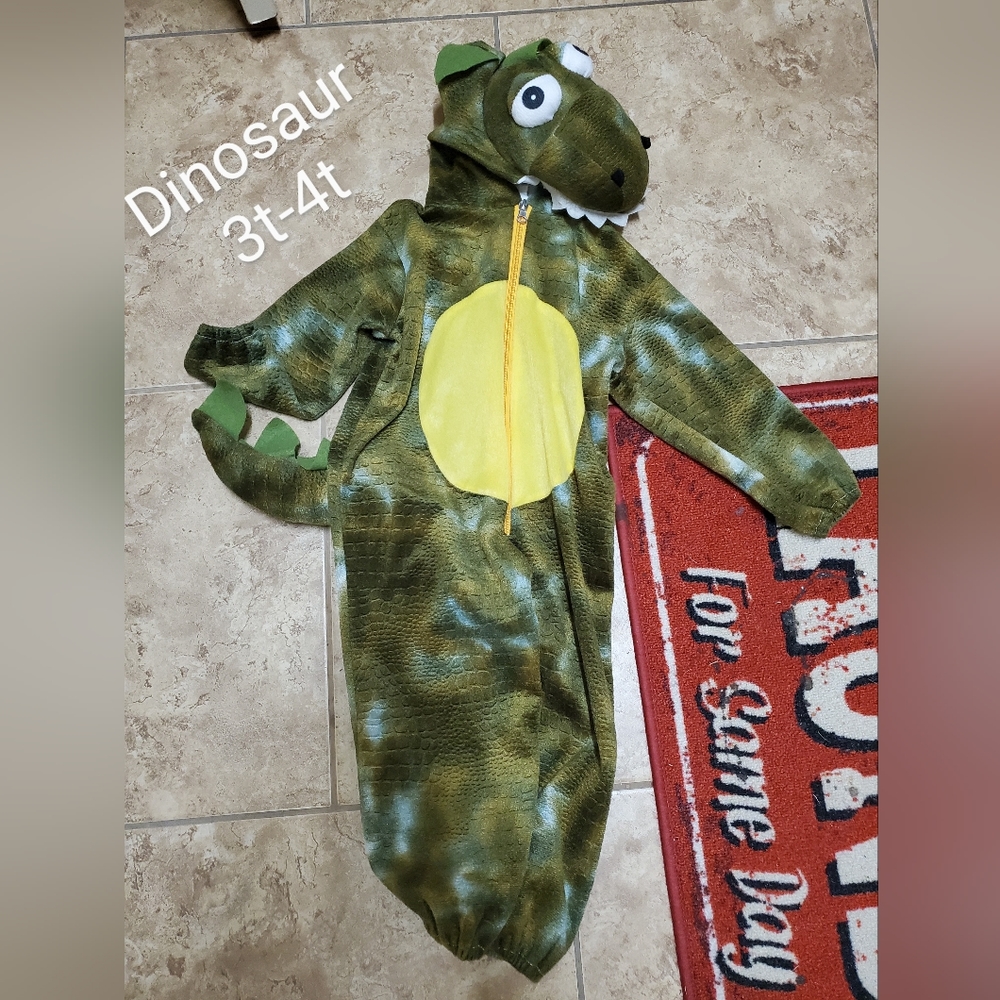Boys dinosaur costume
